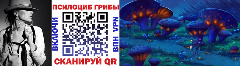 Псилоцибиновые грибы Magic Shrooms Сланцы